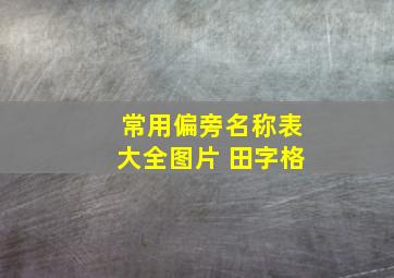 常用偏旁名称表大全图片 田字格